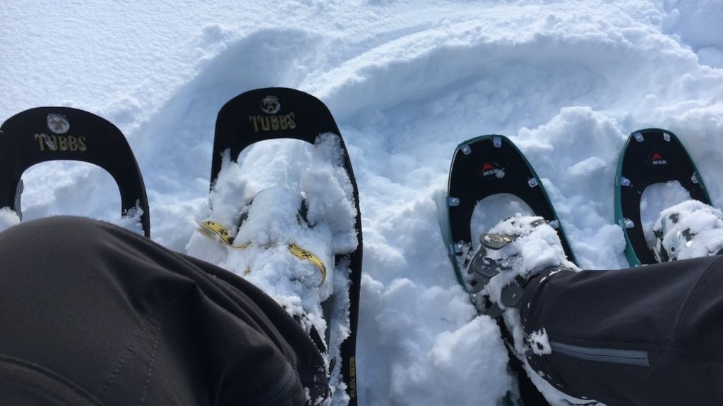 Snowshoes Cairngorms