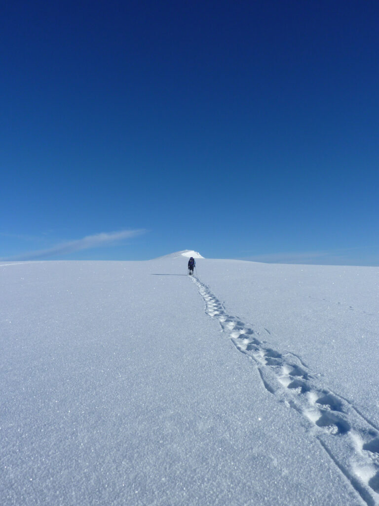 The Grey Man of Sgor Gaoith? (Simon)
