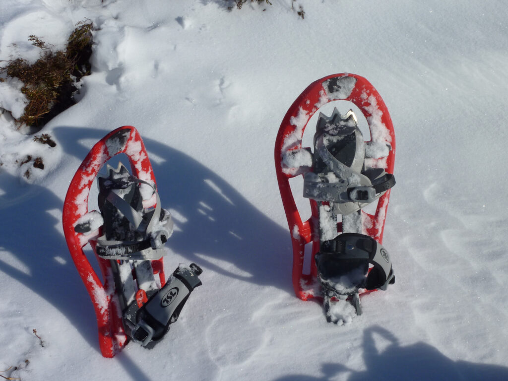 My first Snowshoes!