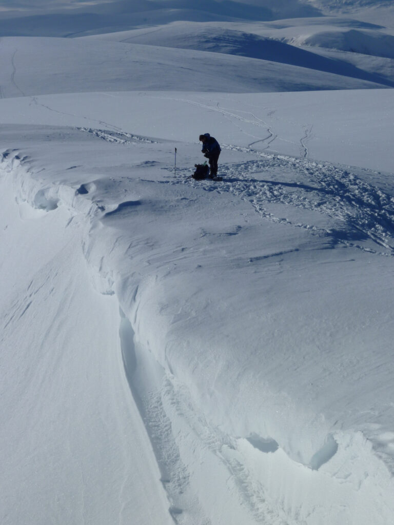 Simon by the cornice
