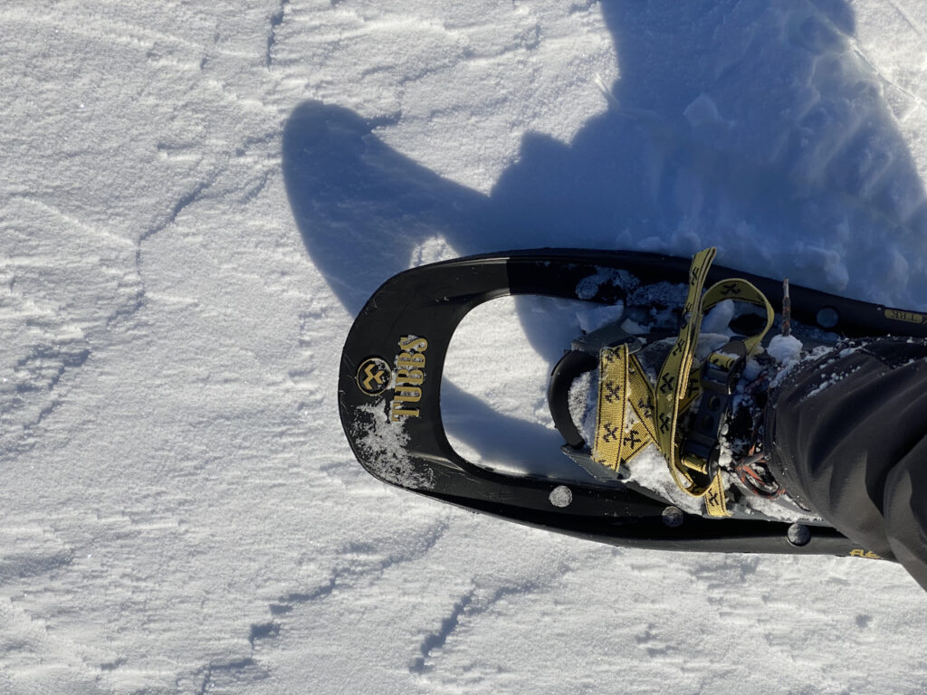 Snowshoes and Shadows