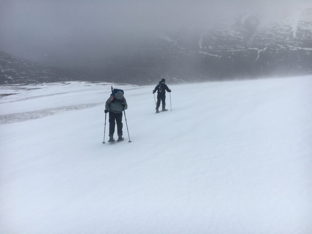 Wild Conditions Snowshoeing