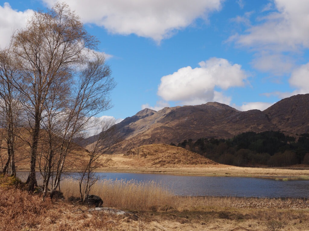 Beinn Odhar Bheag above Loch Shiel