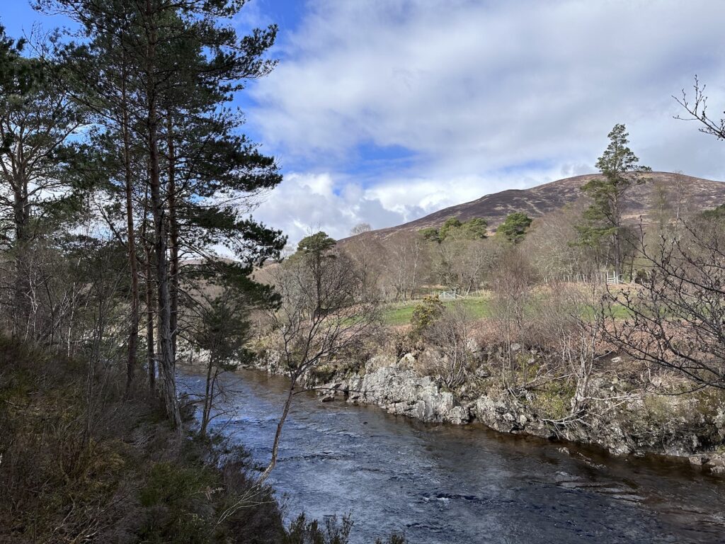 The River Carron