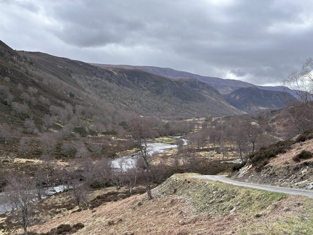 Gleann Mor and regenerating woodland